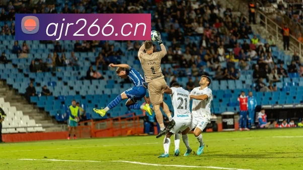 多媒体互动体验